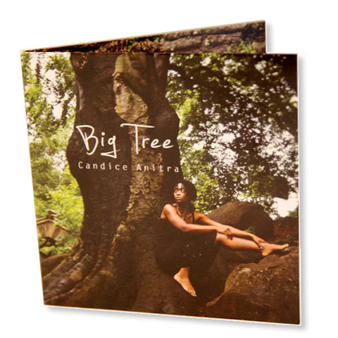 CD-Rs/DVD-Rs in Sleeves/Wallets